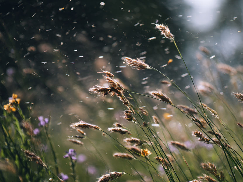 Una nueva prueba mejora el control de calidad de las terapias antialérgicas - Este tipo de prueba nunca había estado disponible debido a la compleja estructura de estos medicamentos
