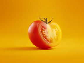 Des scientifiques introduisent les flavonols de camélia dans la chair des fruits pour en faire des tomates dorées