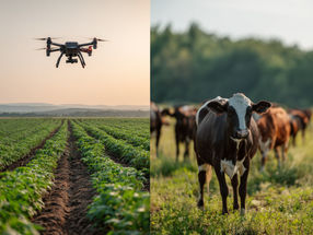 Smart Farming für alle: Wie kleine Betriebe groß denken können