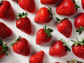 Erdbeeren im Test: Bio-Früchte gewinnen den Pestizid-Check
