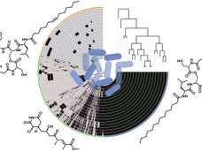 Sur les traces d'une bactérie extrêmement adaptative