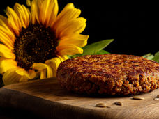 Researchers develop ‘vegan meat’ based on sunflower flour