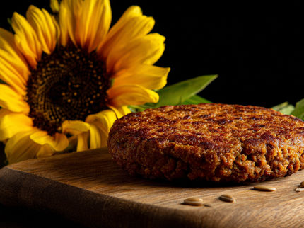 Researchers develop ‘vegan meat’ based on sunflower flour