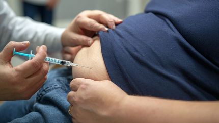 Diabetes de tipo 2: Descubierto un prometedor principio activo sin efectos secundarios para el corazón y la circulación