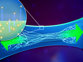 Elettronica estensibile: polimero conduttivo ottimizzato per biosensori indossabili
