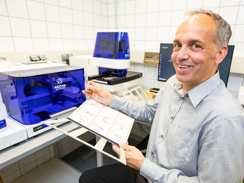 Mit Bio-Navi fehlgeleitete Immunreaktionen in den Griff bekommen - Forscher entwickelt regulatorische CAR-T-Zellen gegen Leberentzündung, neurodegenerative Erkrankungen und Diabetes-Typ-1