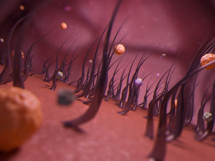 Quello che il nostro naso fa naturalmente: i filtri dell'aria rivestiti di liquido catturano più inquinanti