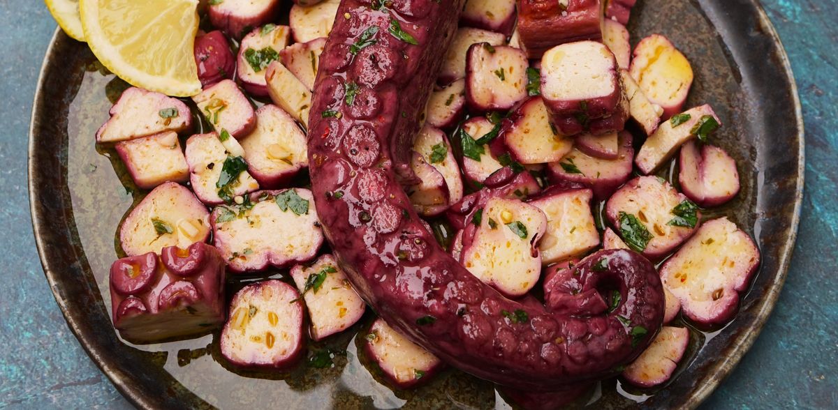 THE KRAKEN returns: an ultra-realistic vegan octopus alternative causes controversy