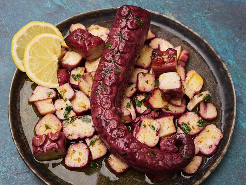 Il ritorno del KRAKEN: un polpo vegano alternativo ultra-realistico fa discutere - Mentre molti celebrano l'innovazione, altri trovano il design "troppo realistico" o "inquietante"