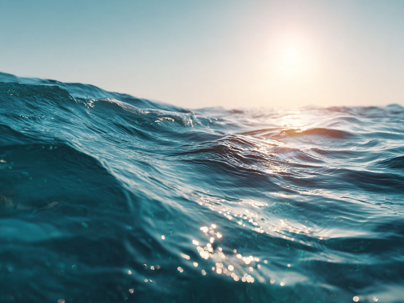 Making fuels from sunlight - “It works like a perfectly synchronized relay race”
