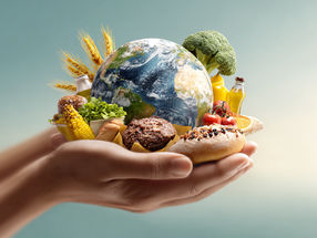 Ideas para una alimentación sostenible en el punto de mira