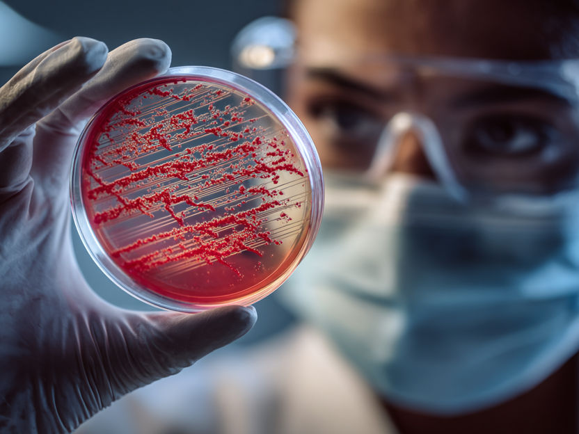 Uma nova arma contra a resistência aos antibióticos - Combater a resistência aos antibióticos através da captura de bactérias