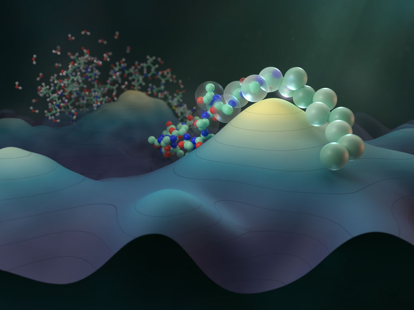 Progredire nella simulazione delle proteine con l'apprendimento automatico - Un nuovo studio apre, tra l'altro, la possibilità di applicazioni alla scoperta di farmaci in medicina