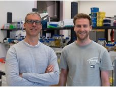 Which signalling pathways in the cell lead to possible therapies for Parkinson's disease