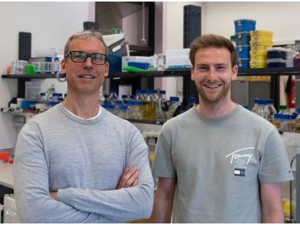Which signalling pathways in the cell lead to possible therapies for Parkinson's disease