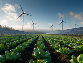 A more climate-friendly way to produce nitrogen fertilizer