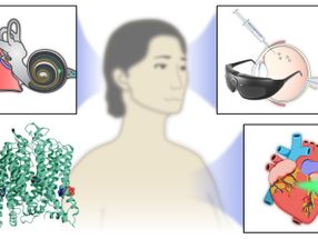 Improved “molecular light switch” promises help for blind, deaf and heart patients