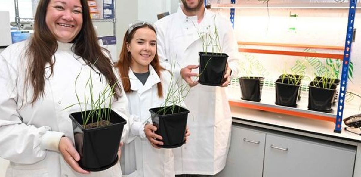 I batteri intelligenti potrebbero trasformare la produzione agricola alimentare globale