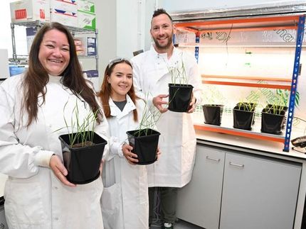 Smarte Bakterien könnten die weltweite Lebensmittelproduktion verändern