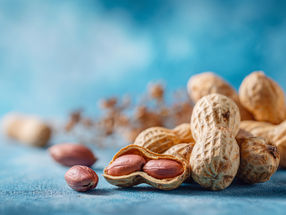 Mars redouble d'efforts pour trouver la cacahuète parfaite et investit 5 millions de dollars dans l'agroscience pionnière
