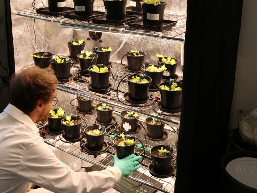 Humify – superfood for the soil - Fighting climate change with green chemistry: The start-up Humify has developed a technology that can reactivate soil as a carbon sink