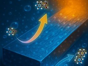 Ein intelligenter Katalysator für nachhaltige Chemie
