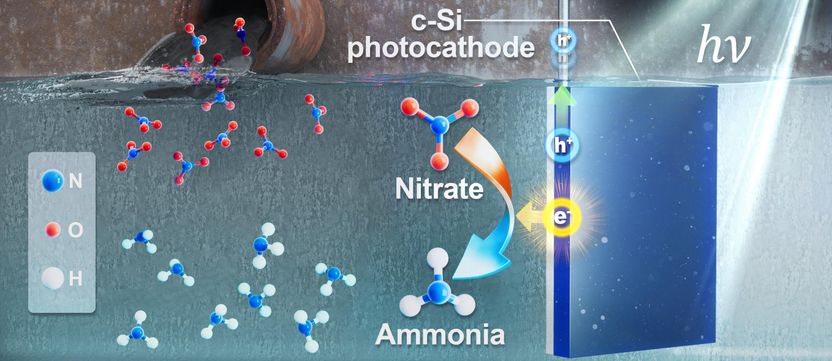 Novel Solar System Converts Nitrate in Wastewater into High-Value Ammonia