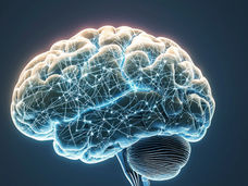 Cette protéine ralentit le vieillissement du cerveau et nous savons comment la contrer