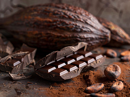 Revolutionizing cocoa production
