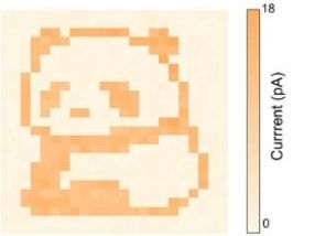 Etero-giunzione mista di nanofili/nanosheet di GaSb/Bi2O2Se per la foto-rilevazione e la fotocomunicazione autoalimentata nel vicino infrarosso