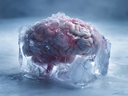 Congelamento de células de tumores cerebrais em modo de suspensão