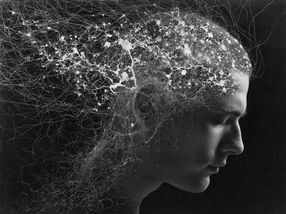 Le rythme ultrarapide dans le cerveau : nouvelles connaissances sur le transport du calcium et le traitement des signaux