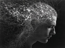 Le rythme ultrarapide dans le cerveau : nouvelles connaissances sur le transport du calcium et le traitement des signaux