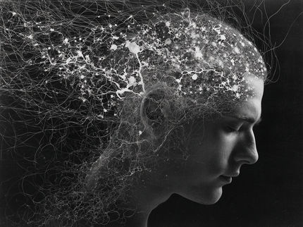 Le rythme ultrarapide dans le cerveau : nouvelles connaissances sur le transport du calcium et le traitement des signaux