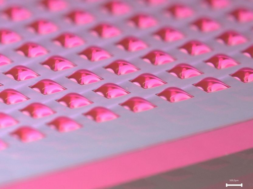 Nanodroplets Could Speed Up the Search for New Medicine - KIT researchers develop a miniaturized platform that combines drug synthesis, testing, and analysis on a single chip — saving years of work and millions in costs