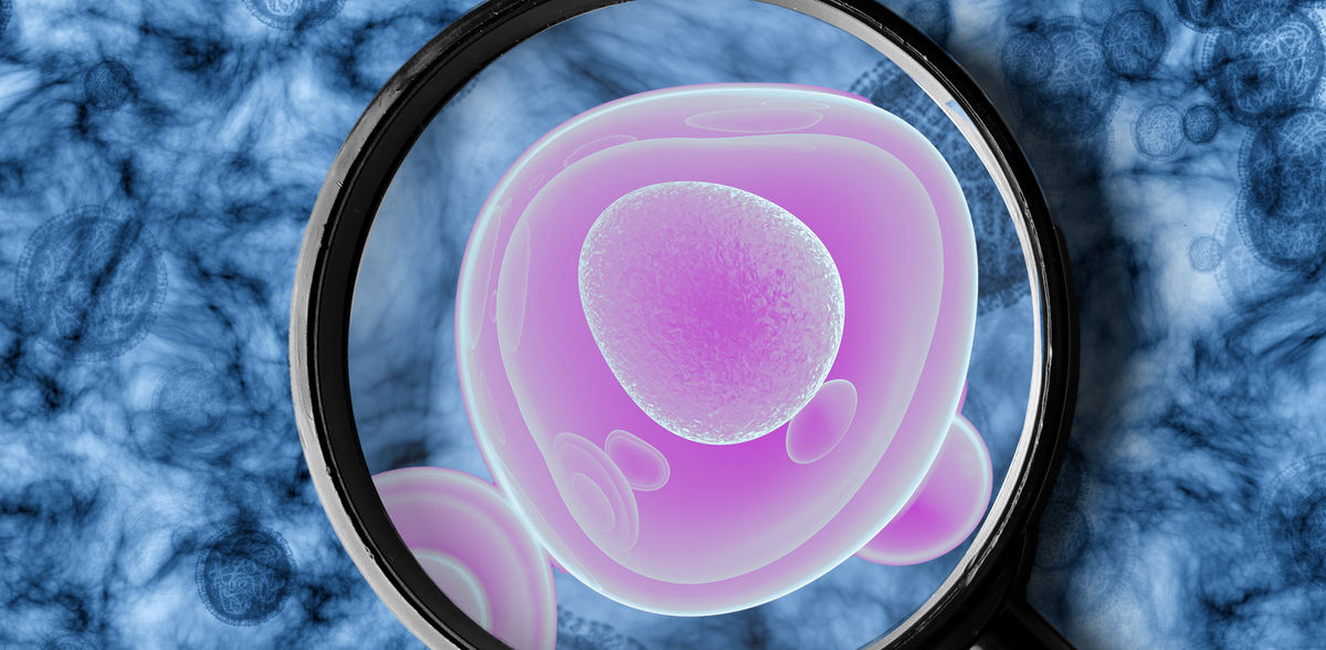New Insights into Tamoxifen Side Effects