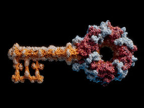 Schlüsselmechanismus der Alzheimer-Erkrankung entdeckt