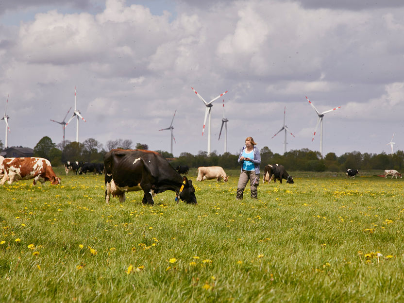 Halbjahresbilanz 2025: Arla feiert 25 Jahre genossenschaftliche Stärke mit stabiler Leistung