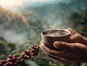 Why regenerative cultivation is the only way out of the coffee crisis
