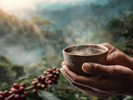 Why regenerative cultivation is the only way out of the coffee crisis