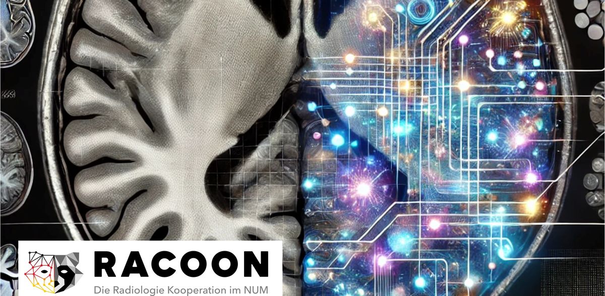 Nueva colaboración en investigación: el futuro del análisis de imágenes biomédicas