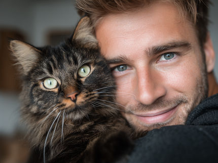Nova terapia contra o cancro para gatos de estimação pode também ajudar os humanos