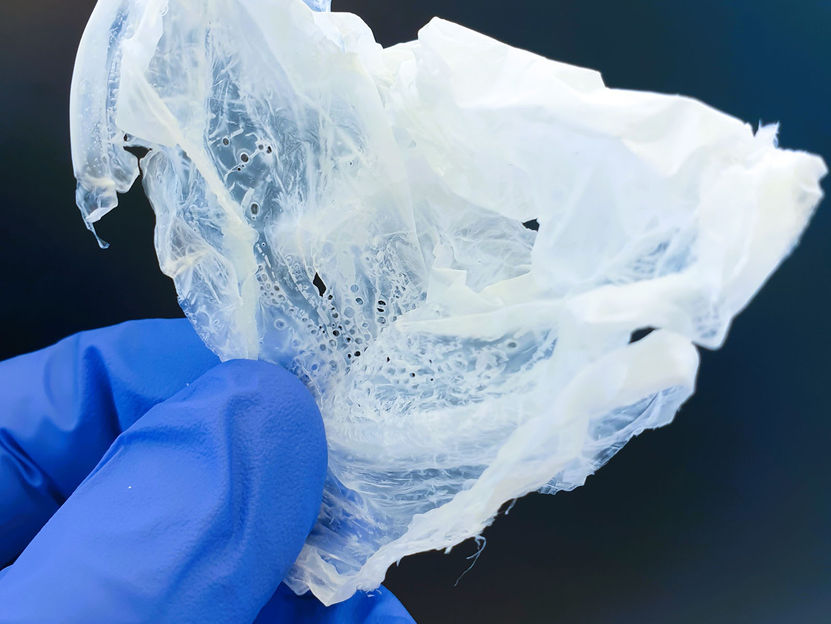 Kommunales Abwasser als Ressourcenquelle nutzen - Mikrobielle Polymere für Biokunststoffe