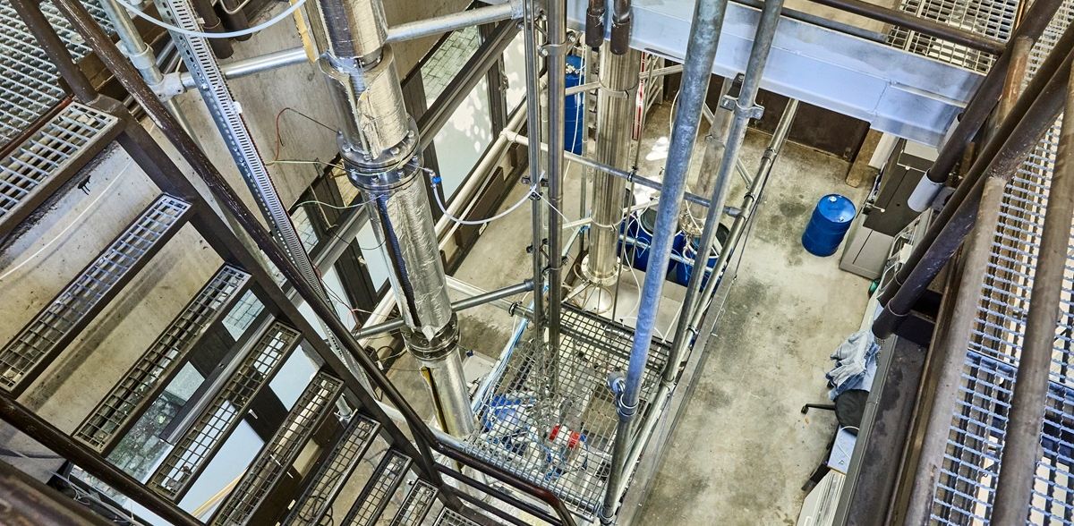 Mentolo sostenibile da un sottoprodotto dell'industria cartaria