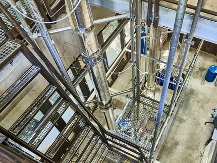 Mentolo sostenibile da un sottoprodotto dell'industria cartaria