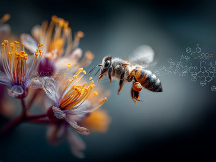 PFAS em abelhas: os insectos permitem a monitorização de poluentes no ambiente