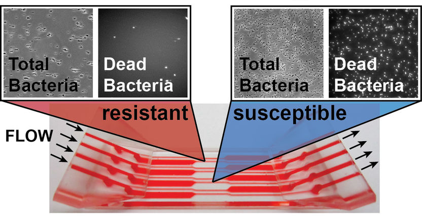 © Fraunhofer USA CMI
