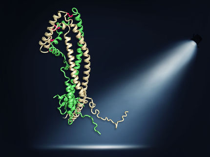 Nuove conoscenze sulla funzione di un fattore di rischio per la malattia di Alzheimer