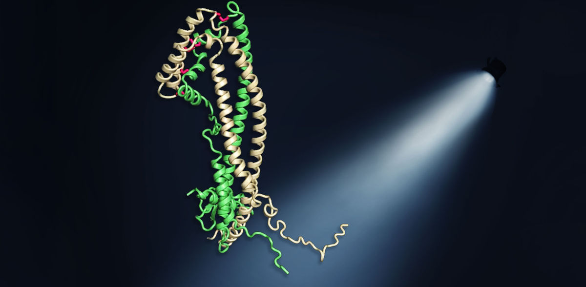  © Illustration: Andreas Bracher, MPI of Biochemistry 