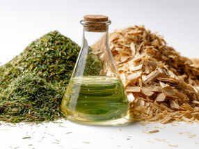 Sustainability: New ways of producing methanol from electricity and biomass